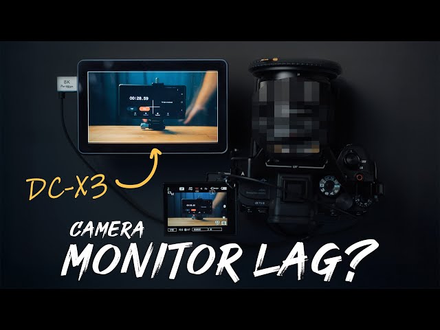 Delayed Camera Monitoring