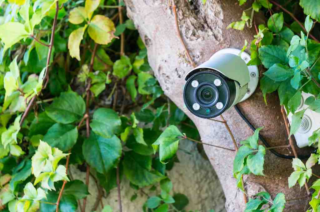 #5: Allowing Landscaping to Create Blind Spots